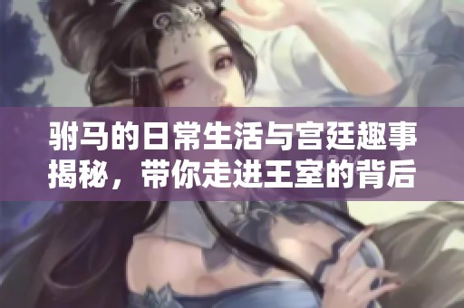驸马的日常生活与宫廷趣事揭秘，带你走进王室的背后秘密