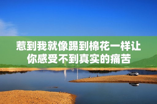 惹到我就像踢到棉花一样让你感受不到真实的痛苦