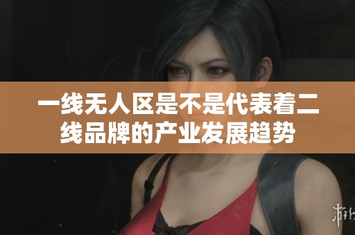 一线无人区是不是代表着二线品牌的产业发展趋势