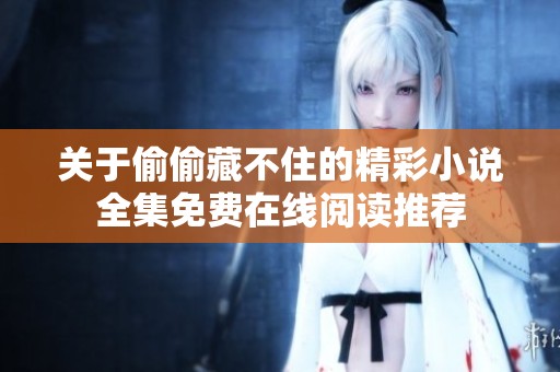 关于偷偷藏不住的精彩小说全集免费在线阅读推荐