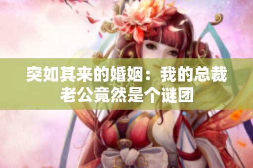 突如其来的婚姻：我的总裁老公竟然是个谜团