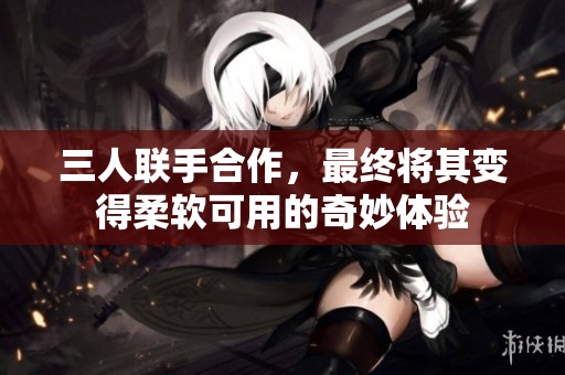 三人联手合作，最终将其变得柔软可用的奇妙体验