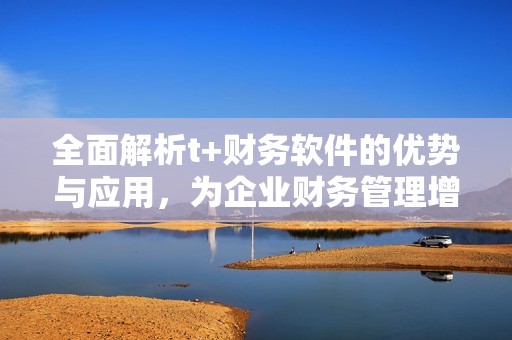 全面解析t+财务软件的优势与应用，为企业财务管理增效添能