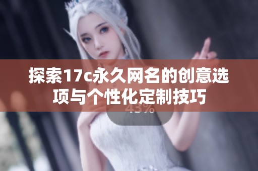 探索17c永久网名的创意选项与个性化定制技巧