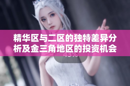 精华区与二区的独特差异分析及金三角地区的投资机会探讨