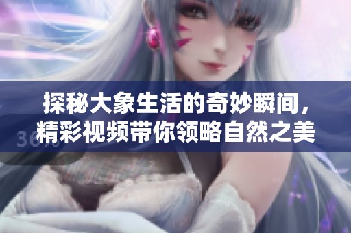 探秘大象生活的奇妙瞬间，精彩视频带你领略自然之美