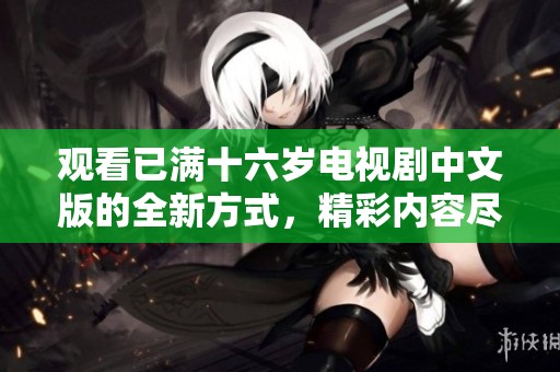 观看已满十六岁电视剧中文版的全新方式，精彩内容尽在眼前