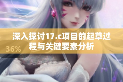 深入探讨17.c项目的起草过程与关键要素分析