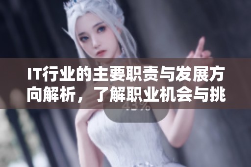 IT行业的主要职责与发展方向解析，了解职业机会与挑战