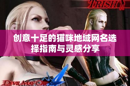 创意十足的猫咪地域网名选择指南与灵感分享