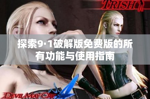 探索9·1破解版免费版的所有功能与使用指南