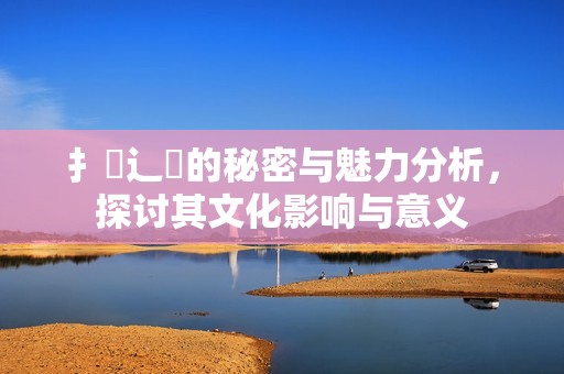 扌喿辶畐的秘密与魅力分析，探讨其文化影响与意义