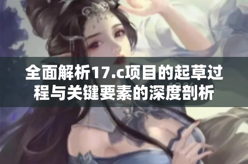全面解析17.c项目的起草过程与关键要素的深度剖析