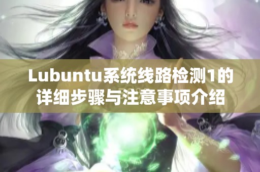 Lubuntu系统线路检测1的详细步骤与注意事项介绍