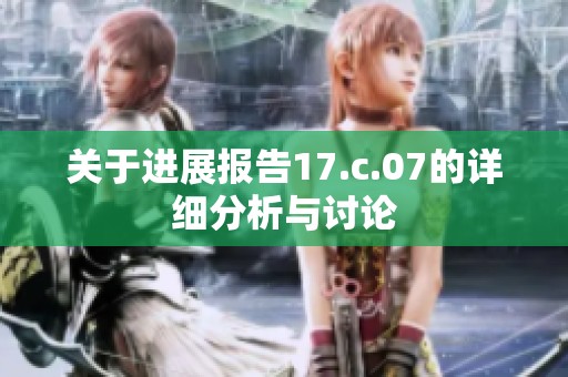 关于进展报告17.c.07的详细分析与讨论