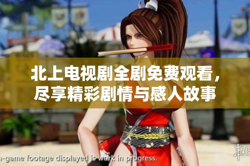 北上电视剧全剧免费观看，尽享精彩剧情与感人故事