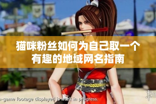 猫咪粉丝如何为自己取一个有趣的地域网名指南
