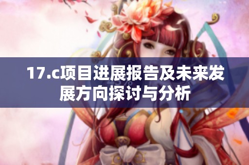 17.c项目进展报告及未来发展方向探讨与分析
