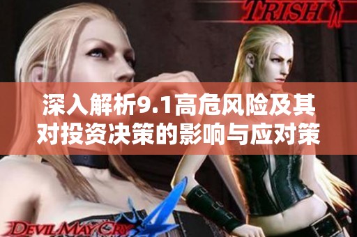 深入解析9.1高危风险及其对投资决策的影响与应对策略