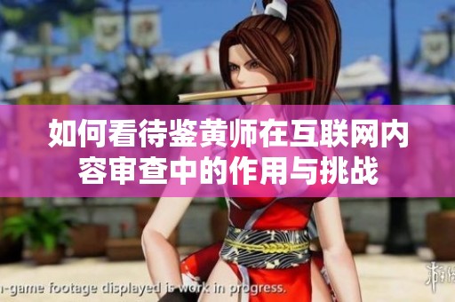 如何看待鉴黄师在互联网内容审查中的作用与挑战