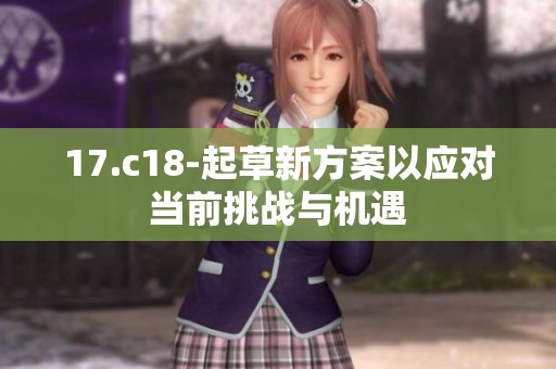 17.c18-起草新方案以应对当前挑战与机遇
