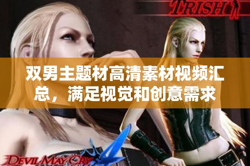 双男主题材高清素材视频汇总，满足视觉和创意需求