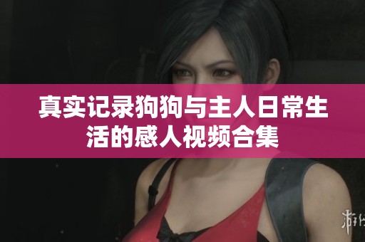 真实记录狗狗与主人日常生活的感人视频合集