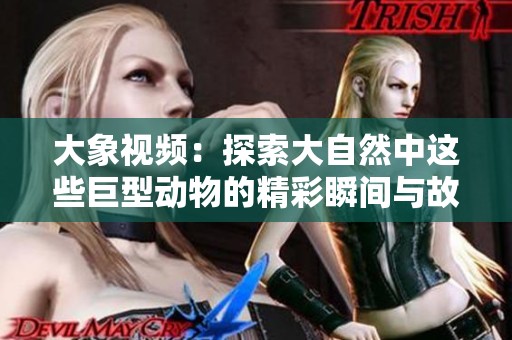 大象视频：探索大自然中这些巨型动物的精彩瞬间与故事