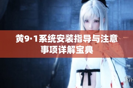 黄9·1系统安装指导与注意事项详解宝典