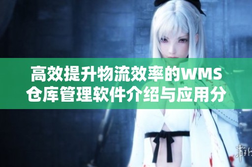 高效提升物流效率的WMS仓库管理软件介绍与应用分析