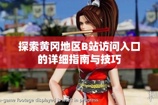 探索黄冈地区B站访问入口的详细指南与技巧