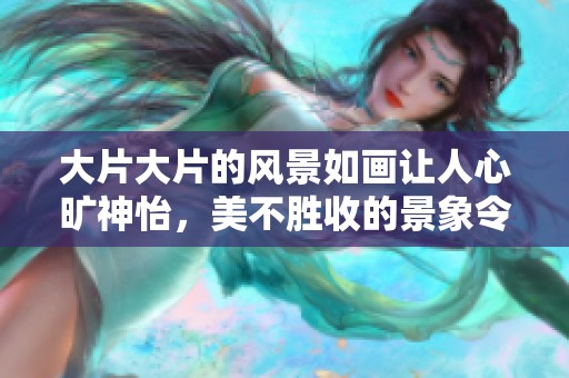大片大片的风景如画让人心旷神怡，美不胜收的景象令人陶醉