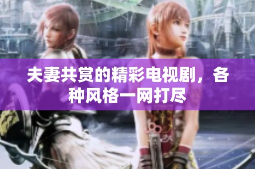 夫妻共赏的精彩电视剧，各种风格一网打尽