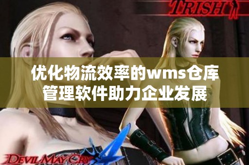 优化物流效率的wms仓库管理软件助力企业发展