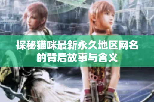 探秘猫咪最新永久地区网名的背后故事与含义