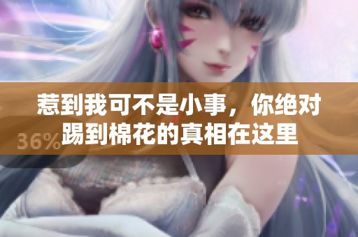 惹到我可不是小事，你绝对踢到棉花的真相在这里