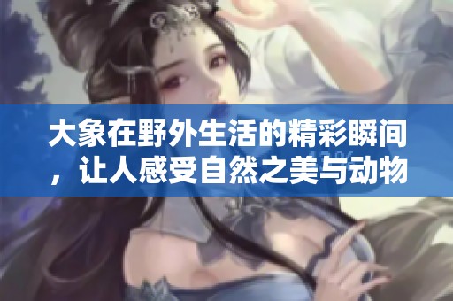 大象在野外生活的精彩瞬间，让人感受自然之美与动物魅力