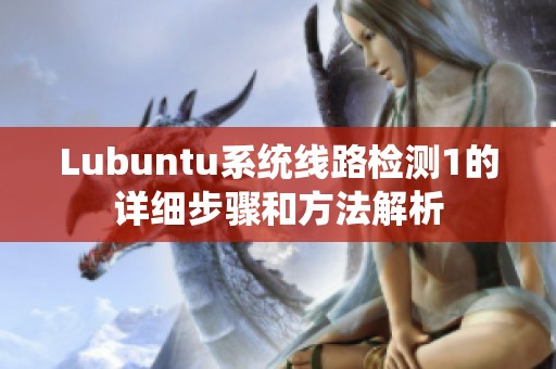 Lubuntu系统线路检测1的详细步骤和方法解析