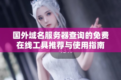 国外域名服务器查询的免费在线工具推荐与使用指南