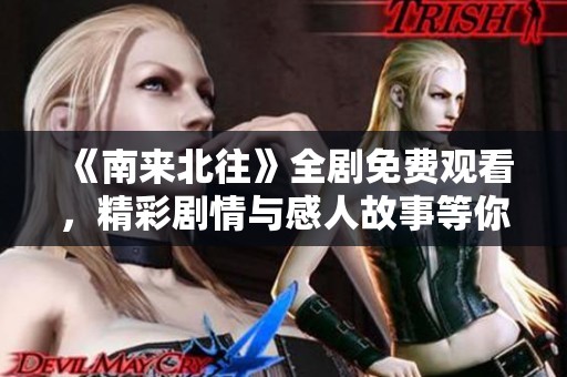 《南来北往》全剧免费观看，精彩剧情与感人故事等你来探索