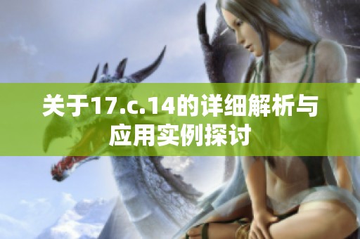 关于17.c.14的详细解析与应用实例探讨