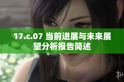 17.c.07 当前进展与未来展望分析报告简述