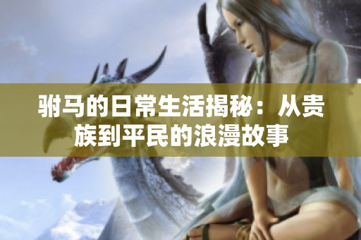 驸马的日常生活揭秘：从贵族到平民的浪漫故事