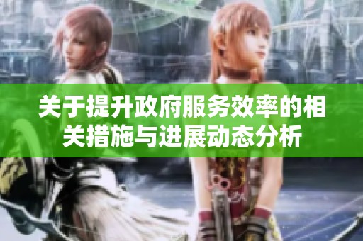 关于提升政府服务效率的相关措施与进展动态分析