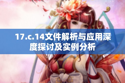 17.c.14文件解析与应用深度探讨及实例分析