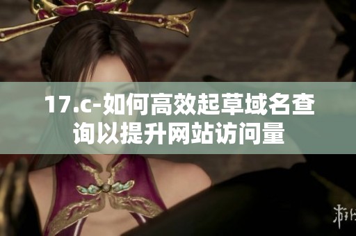 17.c-如何高效起草域名查询以提升网站访问量