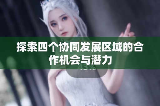 探索四个协同发展区域的合作机会与潜力