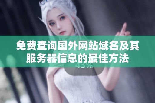 免费查询国外网站域名及其服务器信息的最佳方法
