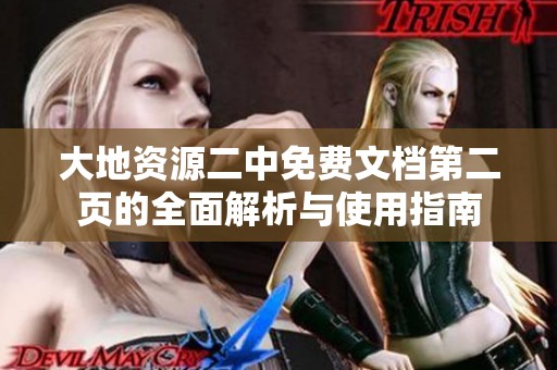 大地资源二中免费文档第二页的全面解析与使用指南