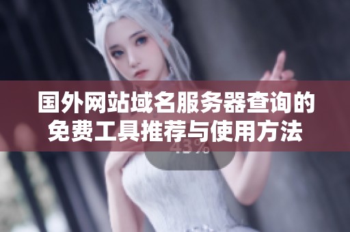 国外网站域名服务器查询的免费工具推荐与使用方法
